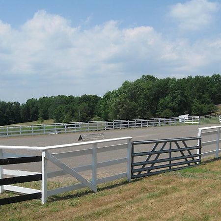 B & B Ranch Fly Creek Exterior photo