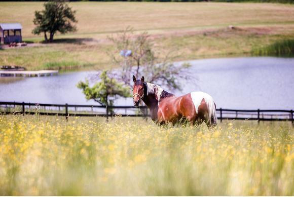 B & B Ranch Fly Creek Exterior photo