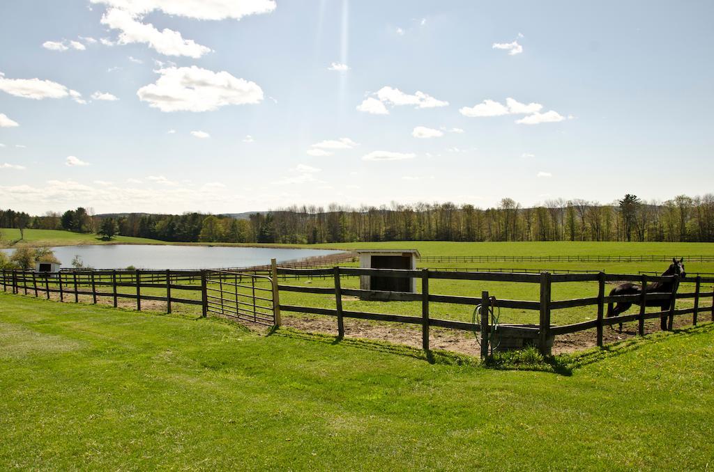 B & B Ranch Fly Creek Exterior photo