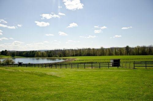 B & B Ranch Fly Creek Exterior photo